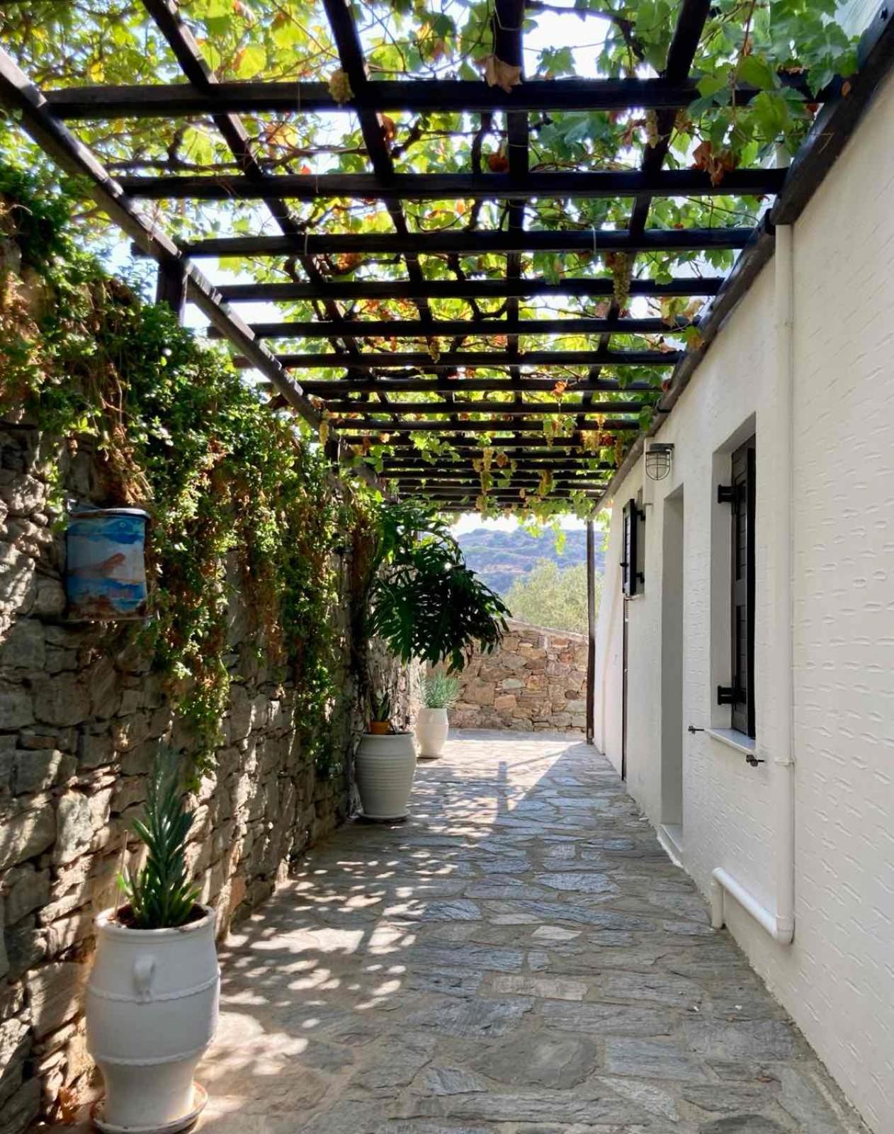 Syrou Lotos Studios & Apartments (Adults Only) Kini Zimmer foto